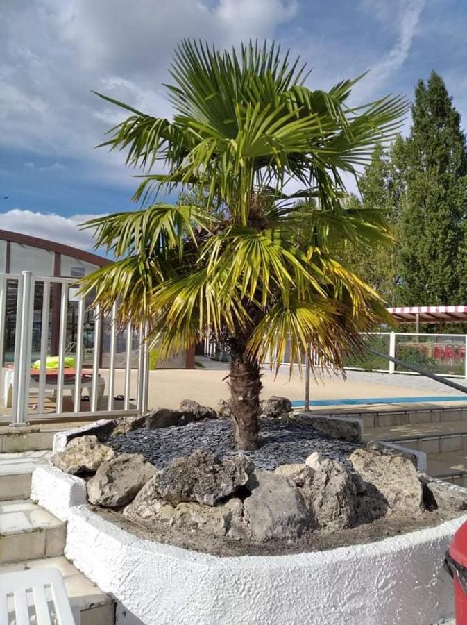 Mobilhome Chateaux De La Loire Vue Sur étang * Onzain